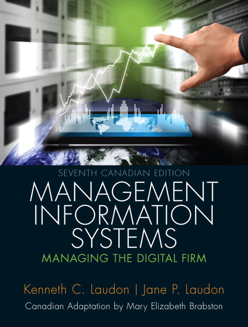 management information systems 7th edition sousa pdf 11